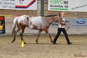 24-ApHC HIH_071
